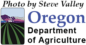 author logo